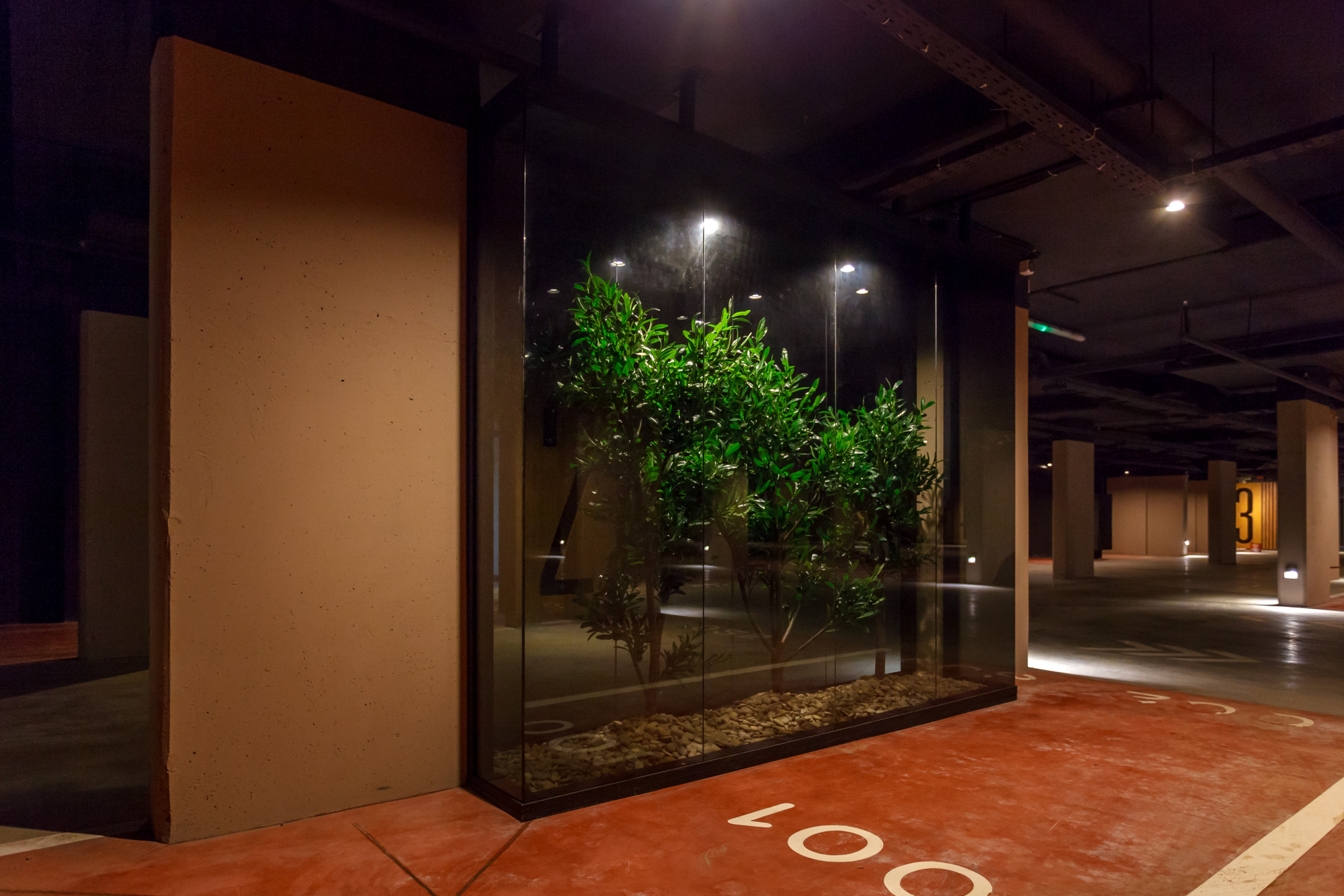 Флорариума (Фитозоны)